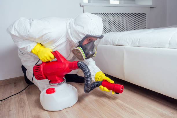 Best Fumigation Services  in Ingram, PA